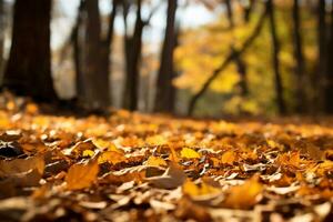 AI Generative of a serene autumn landscape golden leaves cover the ground photo