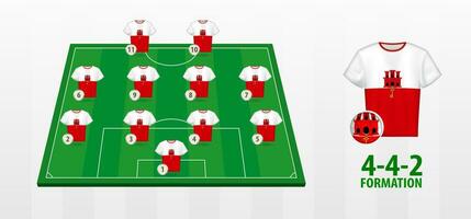 Gibraltar National Football Team Formation on Football Field. vector