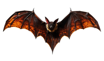 Scary Halloween bat on transparent background. Happy Halloween. Spooky flying character, cut out. Trick or treat. AI Generated png