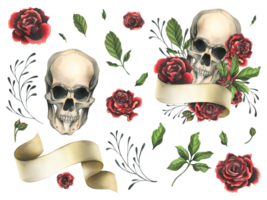 Human skull with ribbon for text, red rose flowers and leaves. Hand drawn watercolor illustration for Halloween, day of the dead, Dia de los muertos. Set of isolated elements png