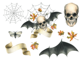 Human skull with bat wings, moth, paper scroll, witch hat, cobweb and autumn maple leaves. Hand drawn watercolor illustration for Halloween. Isolated composition png