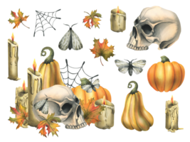 Human skull with orange pumpkins, candles, night moths, cobwebs and autumn leaves. Hand drawn watercolor illustration for Halloween and Day of the Dead. Set of isolated elements png