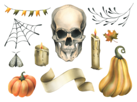 Human skull with orange pumpkins, cobweb, flags, candles and branches, moths, autumn leaves, paper ribbon. Hand drawn watercolor illustration for Halloween. Set of elements png