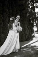 wedding walk of the bride and groom in a coniferous photo