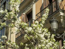 madrid and toledo in spain photo