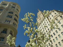 el ciudad sobredosis Madrid foto