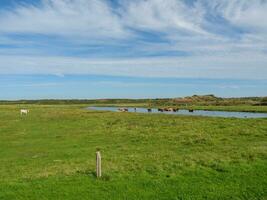 la isla de langeoog foto