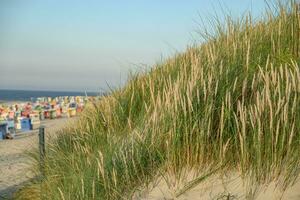 Langeoog island in germany photo