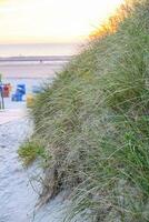 Langeoog island in germany photo