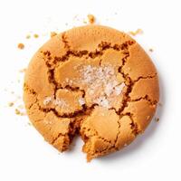 Ginger biscuit on a white background photo