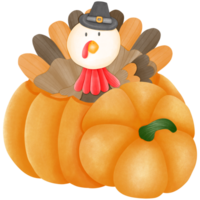 A turkey wearing a black hat emerges from a pod of pumpkins. png