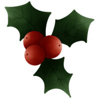 Red holly fruit with leaves png