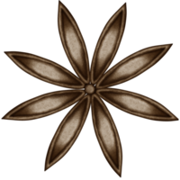 Eight-pointed style brown anise illustration png