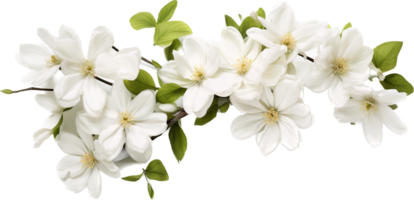Flora png with AI generated.