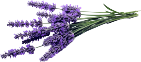 lavanda png con ai generato.