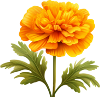 Marigold png with AI generated.