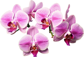 orquídea png con ai generado.