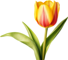 tulp PNG met ai gegenereerd.