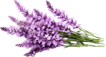 Lavender png with AI generated.