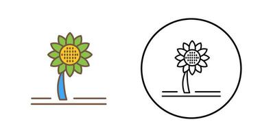 icono de vector de girasol