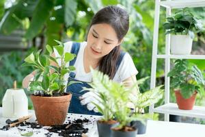 beautiful Asian woman female plant and take care trees in flowerpots as hobby and relax. plant sales small business. house garden, jungle, gardener, flower decoration, green, happy lifestyle in home photo