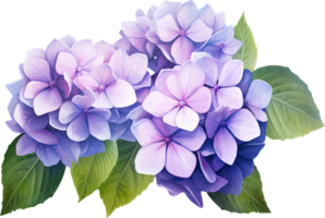 hortensia png med ai genererad.