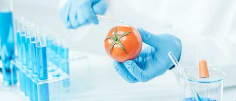 Scientist check chemical food residues in laboratory. Control experts inspect quality of fruits, vegetables. lab, hazards, ROHs, find prohibited substances, contaminate, Microscope, Microbiologist photo