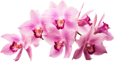 orquídea png con ai generado.