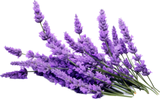Lavender png with AI generated.