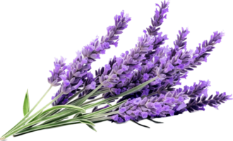 Lavender png with AI generated.