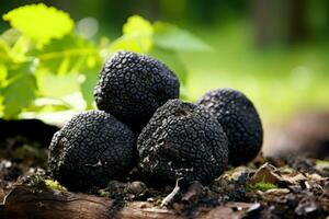 Rare Forest truffle. Generate Ai photo