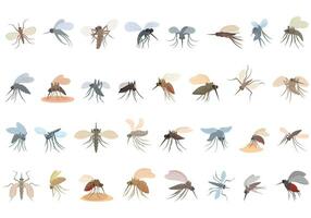 Mosquito icons set cartoon vector. Fly insect vector