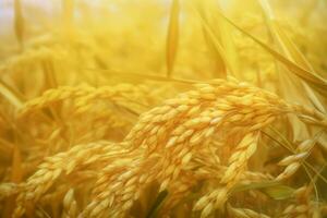 Golden wheat field crop. Generate Ai photo