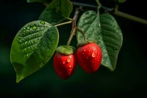 Red berries macro. Generate Ai photo