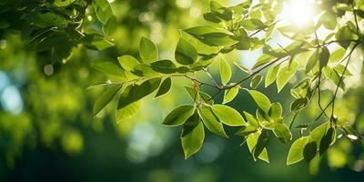 Green leaves background in sunny day. Beautiful nature scene with sunlight AI Generated photo