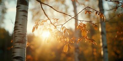 Green leaves background in sunny day. Beautiful nature scene with sunlight AI Generated photo