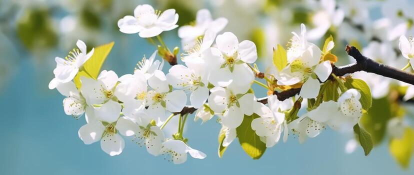ai generativo blanco flores florecer foto