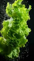 AI Generative a photo of lettuce