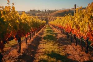 A vineyard in autumn, with rows of colorful grapevines, showcasing the beauty of autumn in wine-producing regions. Generative AI photo