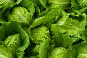 Close up of fresh lettuce , top view, seamless pattern. Generative Ai photo