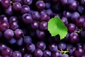 Close up of fresh black grapes , top view, seamless pattern. Generative Ai photo