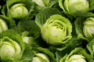 Close up of fresh cabbage , top view, seamless pattern. Generative Ai photo