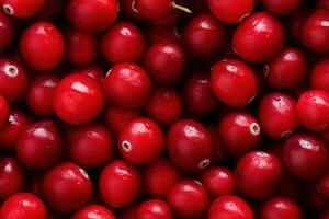 Close up of fresh red ripe cranberries , top view, seamless pattern. Generative Ai photo