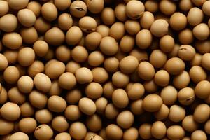 Closeup of soya beans, top view, seamless pattern. photo