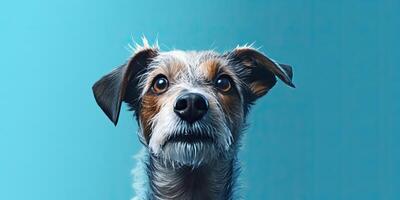 perro retrato en un mínimo azul antecedentes para pancartas ai generativo foto