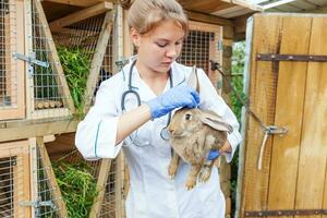 Happy young veterinarian woman with stethoscope holding and examining rabbit on ranch background. Bunny in vet hands for check up in natural eco farm. Animal care and ecological farming concept. photo