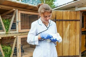 Happy young veterinarian woman with stethoscope holding and examining rabbit on ranch background. Bunny in vet hands for check up in natural eco farm. Animal care and ecological farming concept. photo