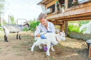 veterinarian woman with stethoscope holding and examining goat kid on ranch background. Young goatling with vet hands for check up in natural eco farm. Animal care and ecological farming concept. photo