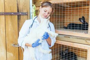 Young veterinarian woman with stethoscope holding and examining goat kid on ranch background. Young goatling in vet hands for check up in natural eco farm. Modern animal livestock, ecological farming. photo