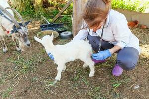 Veterinarian woman with syringe holding and injecting goat kid on ranch background. Young goatling with vet hands, vaccination in natural eco farm. Animal care, modern livestock, ecological farming. photo